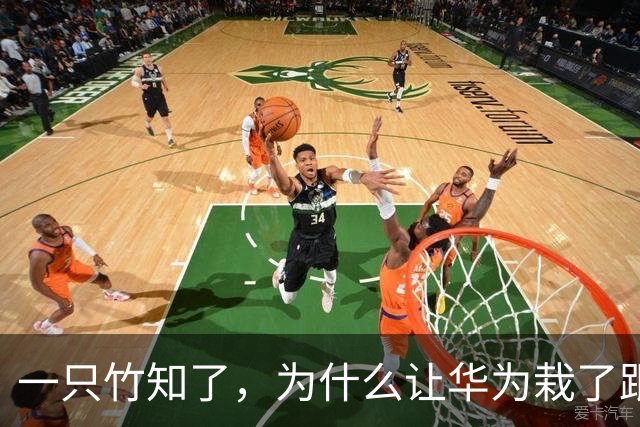 一只竹知了，为什么让华为栽了跟头？